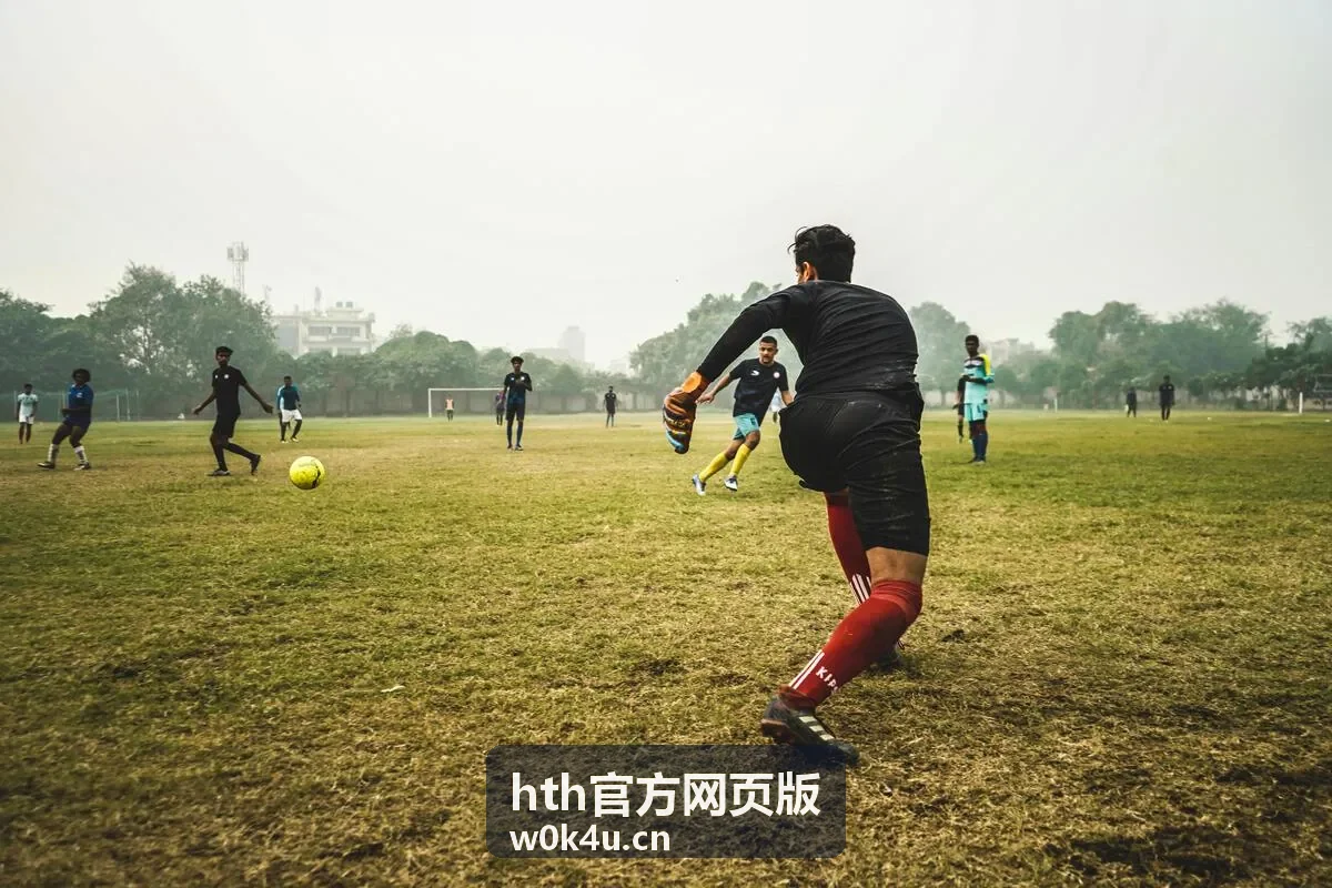 hth官方网页版周末必看热门片段合集封面